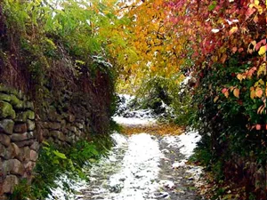 Itinerari Naturalistici