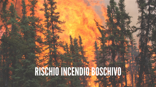 Dichiarazione dello stato massima pericolosità per gli incendi boschivi
